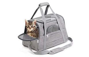 4305312 Grey Luxury Out-Going Portable Foldable Travel Pet Carrier Bag Cheap Price Wholesale Supplier