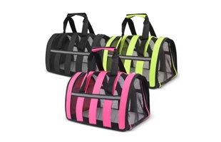 4305325 Portable Dog Pet Cat Bag Collapsible Mesh Summer Capsule Carrying Backpack Capacity Large Cat Bag Cheap Price Wholesale Supplier