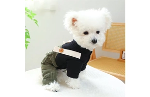 4305345 Pet Winter Overall Clothes For Dog