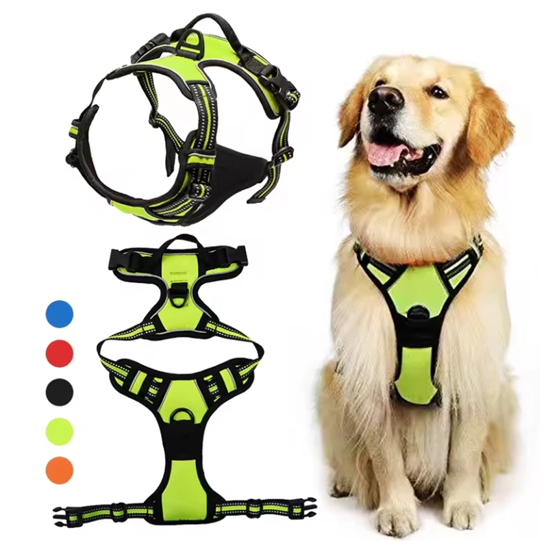 4305356 pet collar dog harness and leash set cheap price wholesale supplier