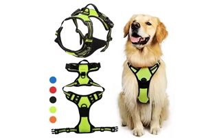 4305356 Pet Collar Dog Harness and Leash Set