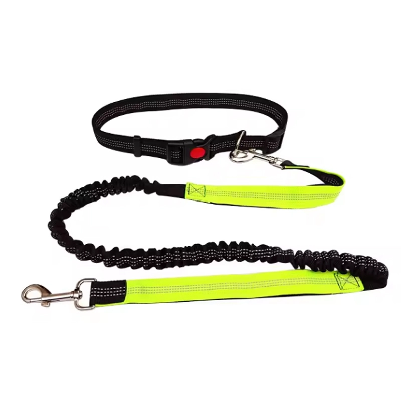 4305359 pet dog sports leash cheap price wholesale supplier