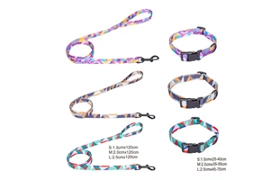 4305373 Colorful Dog Collar And Leash